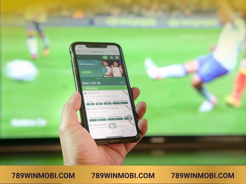 Hướng dẫn cơ bản cho người mới tại 789Win